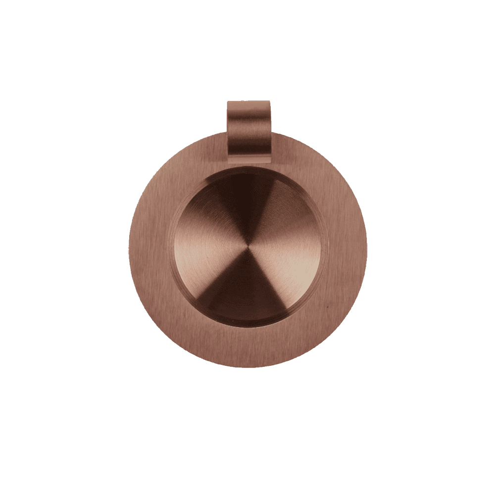 IP Braun