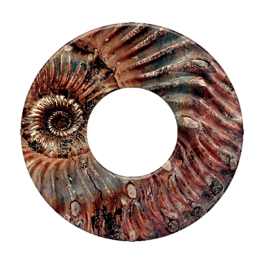 l276_1