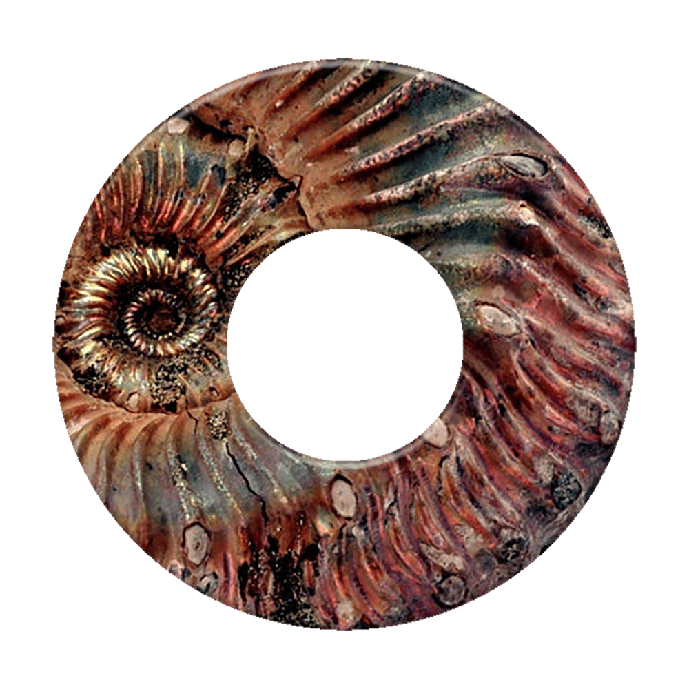 l276_1