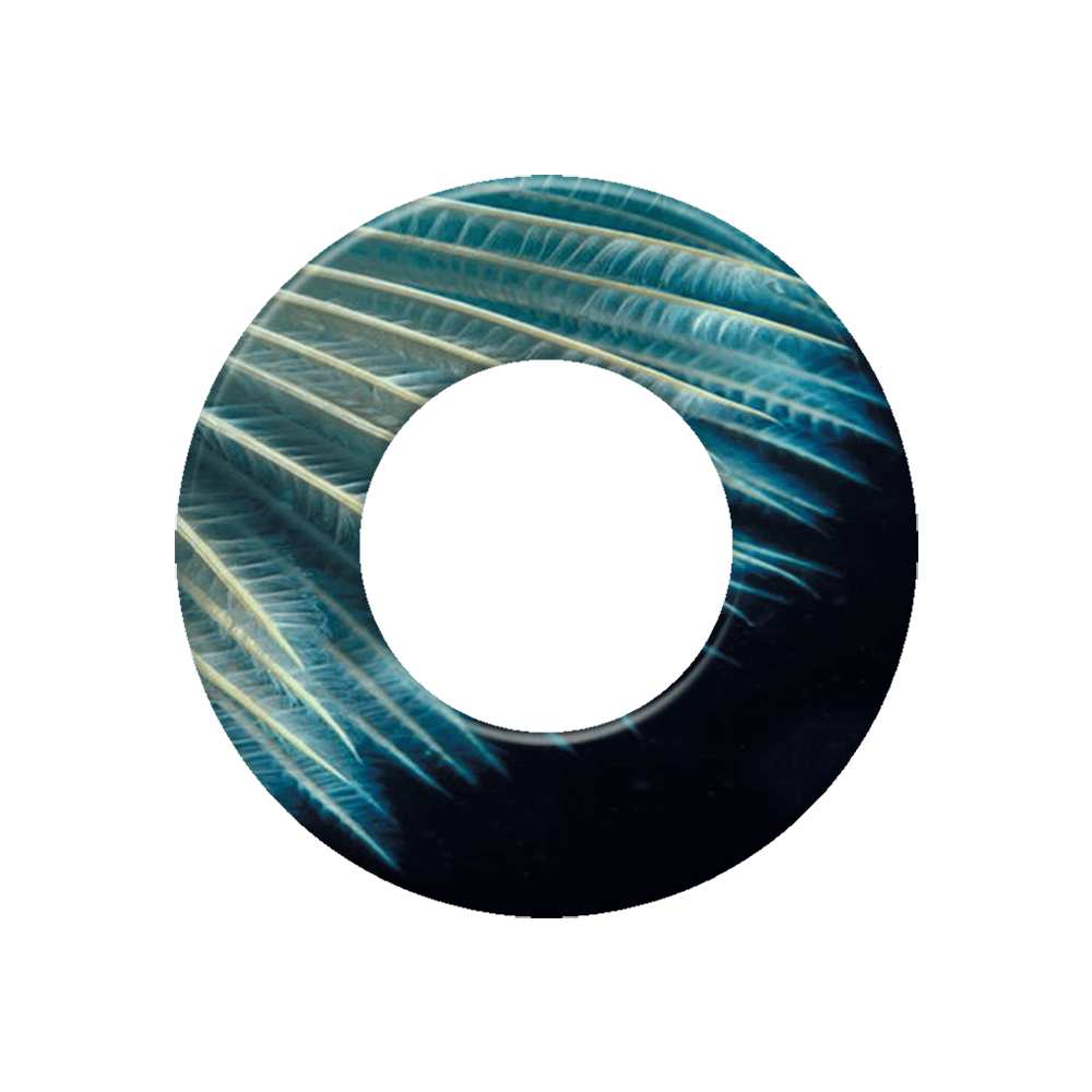l289_1