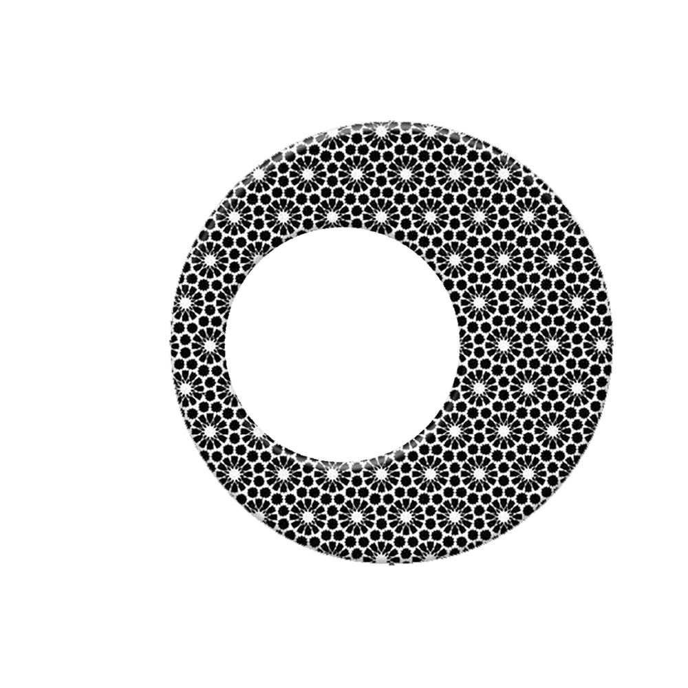 l5009