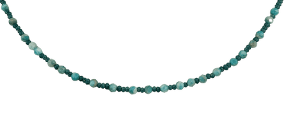n1019