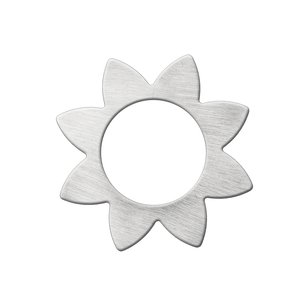 si2
