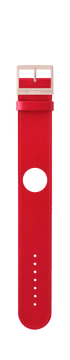 IP Roségold