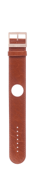 IP Rose Gold
