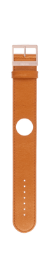 IP Rose Gold