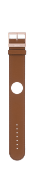 IP Rose Gold