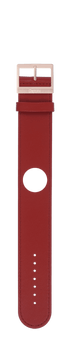 IP Roségold