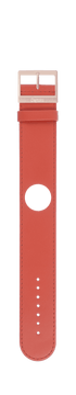 IP Roségold