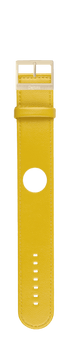IP Gold