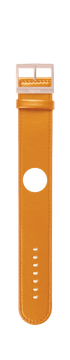 IP Rose Gold