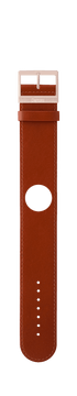 IP Rose Gold