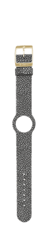 IP Gold