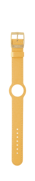 IP Gold