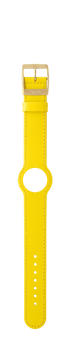 IP Gold