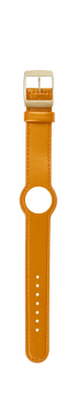 IP Gold