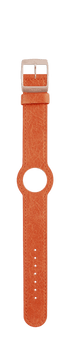 IP Roségold