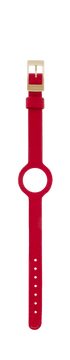 IP Gold