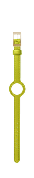 IP Gold
